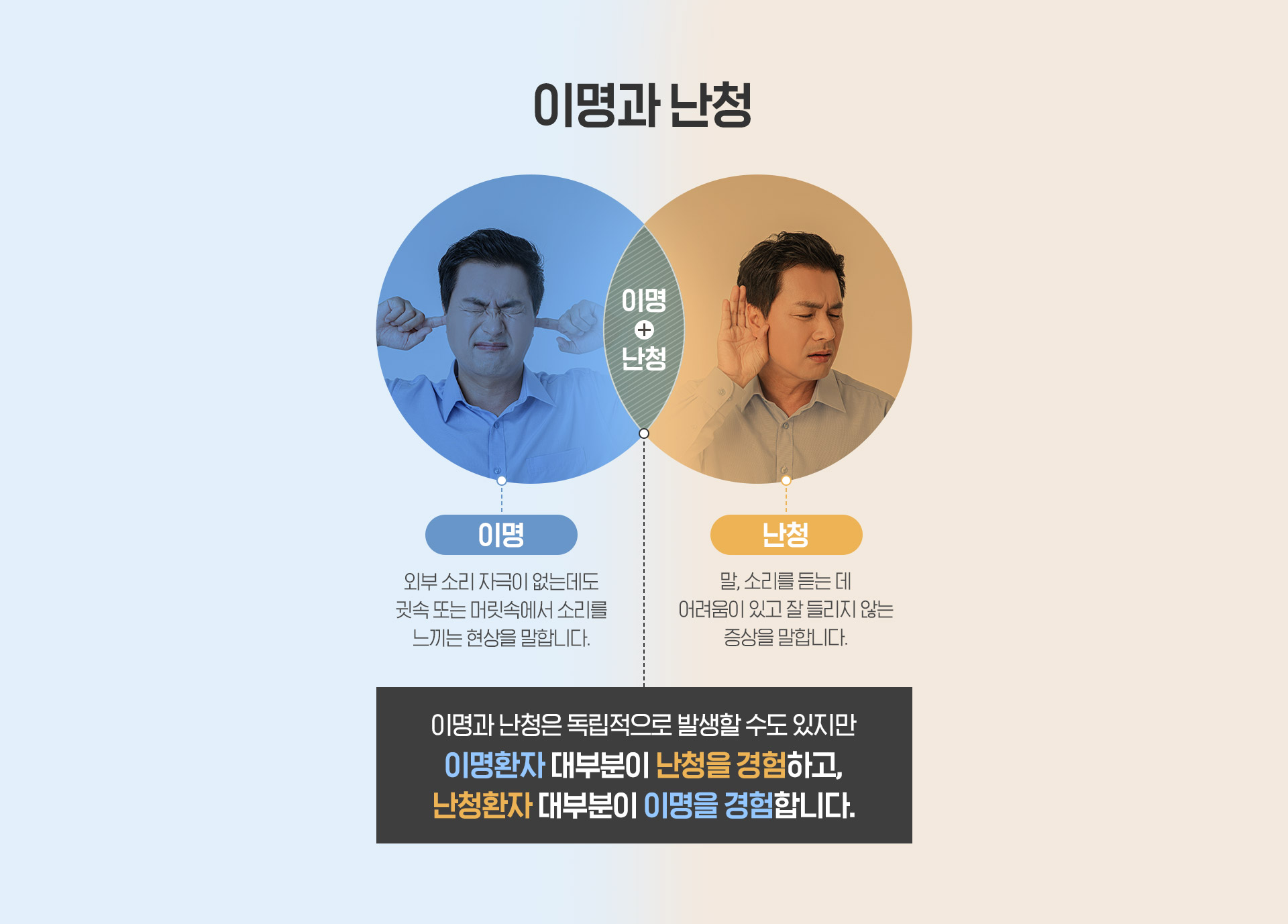 이명과 난청