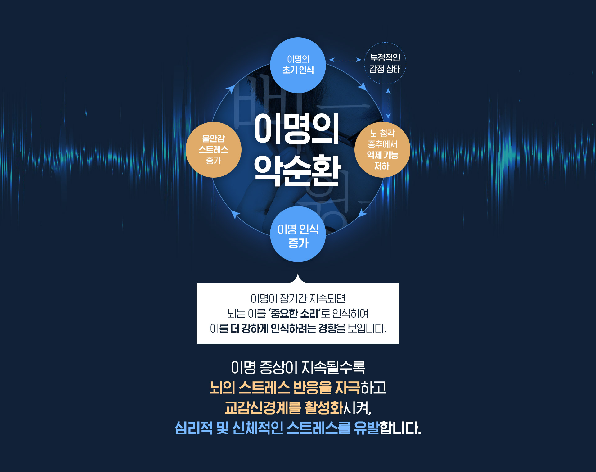이명의 악순환
