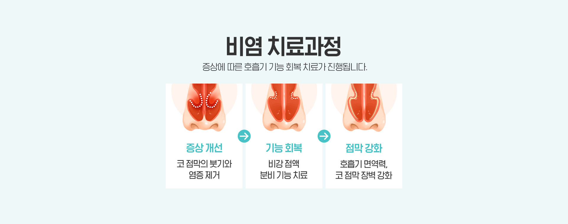 비염 치료과정